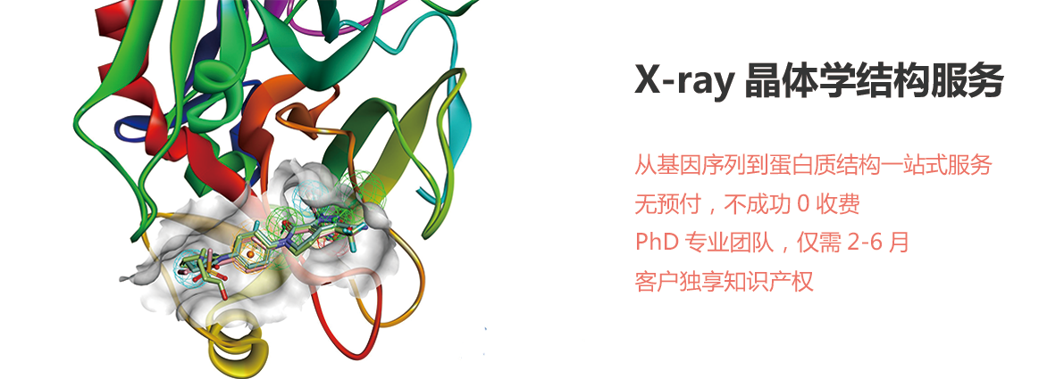 x-ray crystallography